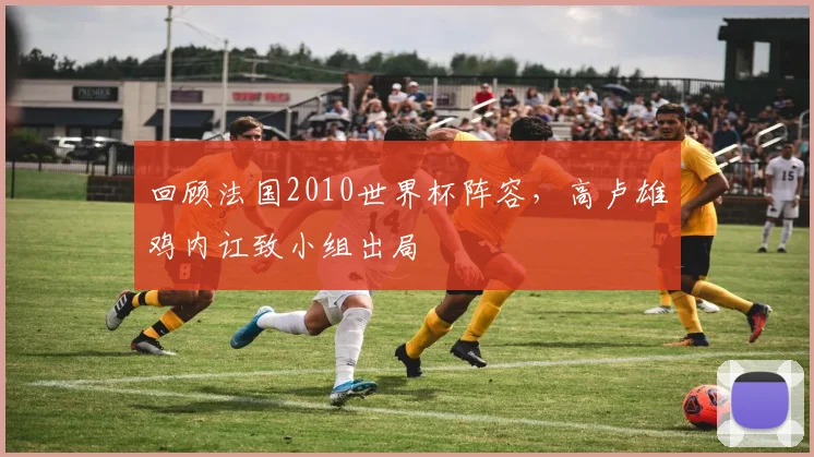 回顾法国2010世界杯阵容,高卢雄鸡内讧致小组出局