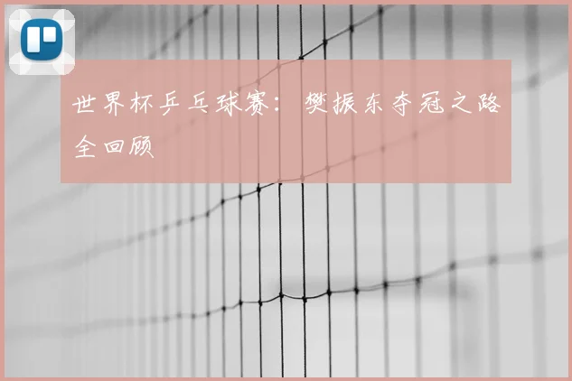 世界杯乒乓球赛：樊振东夺冠之路全回顾