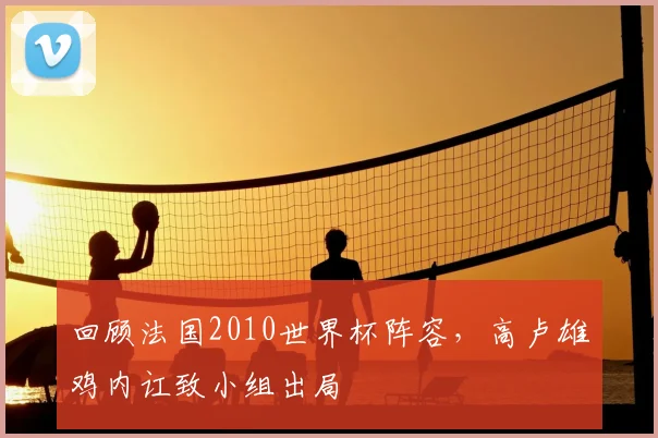 回顾法国2010世界杯阵容,高卢雄鸡内讧致小组出局