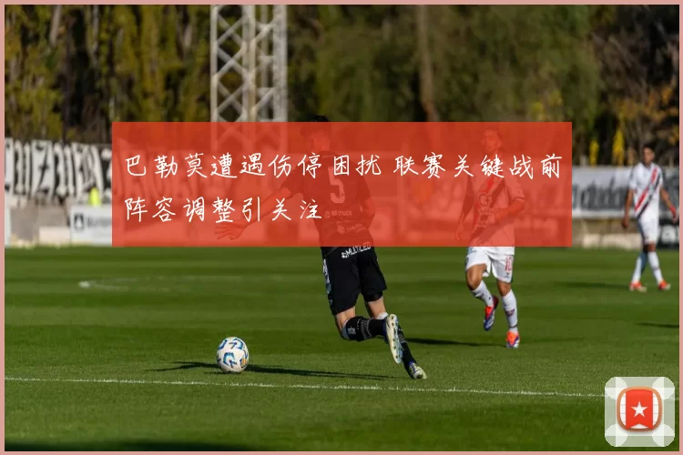 巴勒莫遭遇伤停困扰 联赛关键战前阵容调整引关注