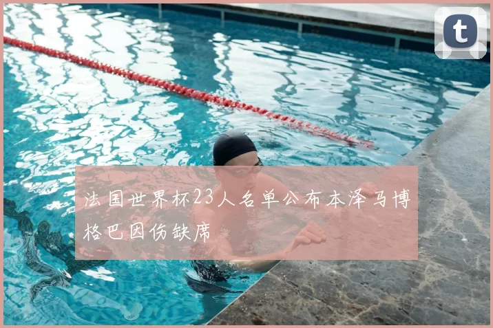 法国世界杯23人名单公布本泽马博格巴因伤缺席