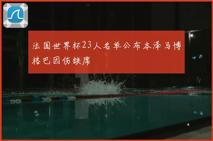 法国世界杯23人名单公布本泽马博格巴因伤缺席